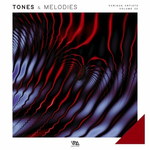 VA - Tones & Melodies Vol 22 [VMCOMP1160]